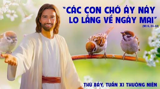 Thứ Bảy Tuần XI Mùa Thường Niên - Năm C